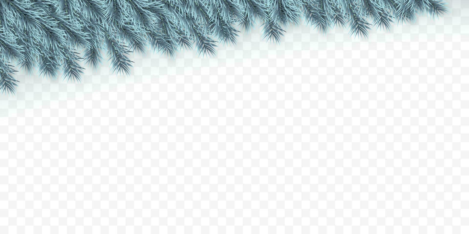festlich Weihnachten oder Neu Jahr Hintergrund. Blau Weihnachten Tannenbaum Geäst. Feiertage Hintergrund. Vektor Illustration