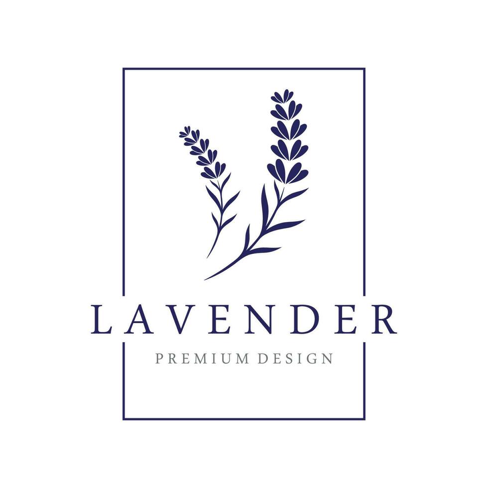 Hand gezeichnet organisch Lavendel Blume Logo Vorlage design.logo zum Kosmetik, Schönheit, Tee, Öl, Kräuter. vektor