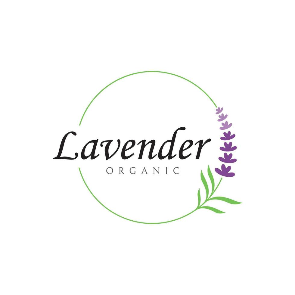 hand dragen organisk lavendel- blomma logotyp mall design.logotyp för kosmetisk, skönhet, te, olja, ört. vektor