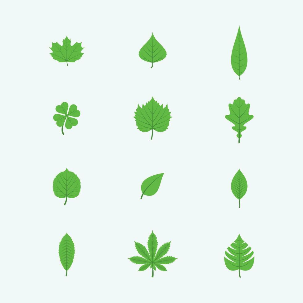 uppsättning av grön löv vektor