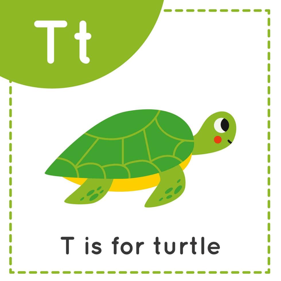 Englisches Alphabet lernen für Kinder. Buchstabe t. süße Cartoon-Schildkröte. vektor