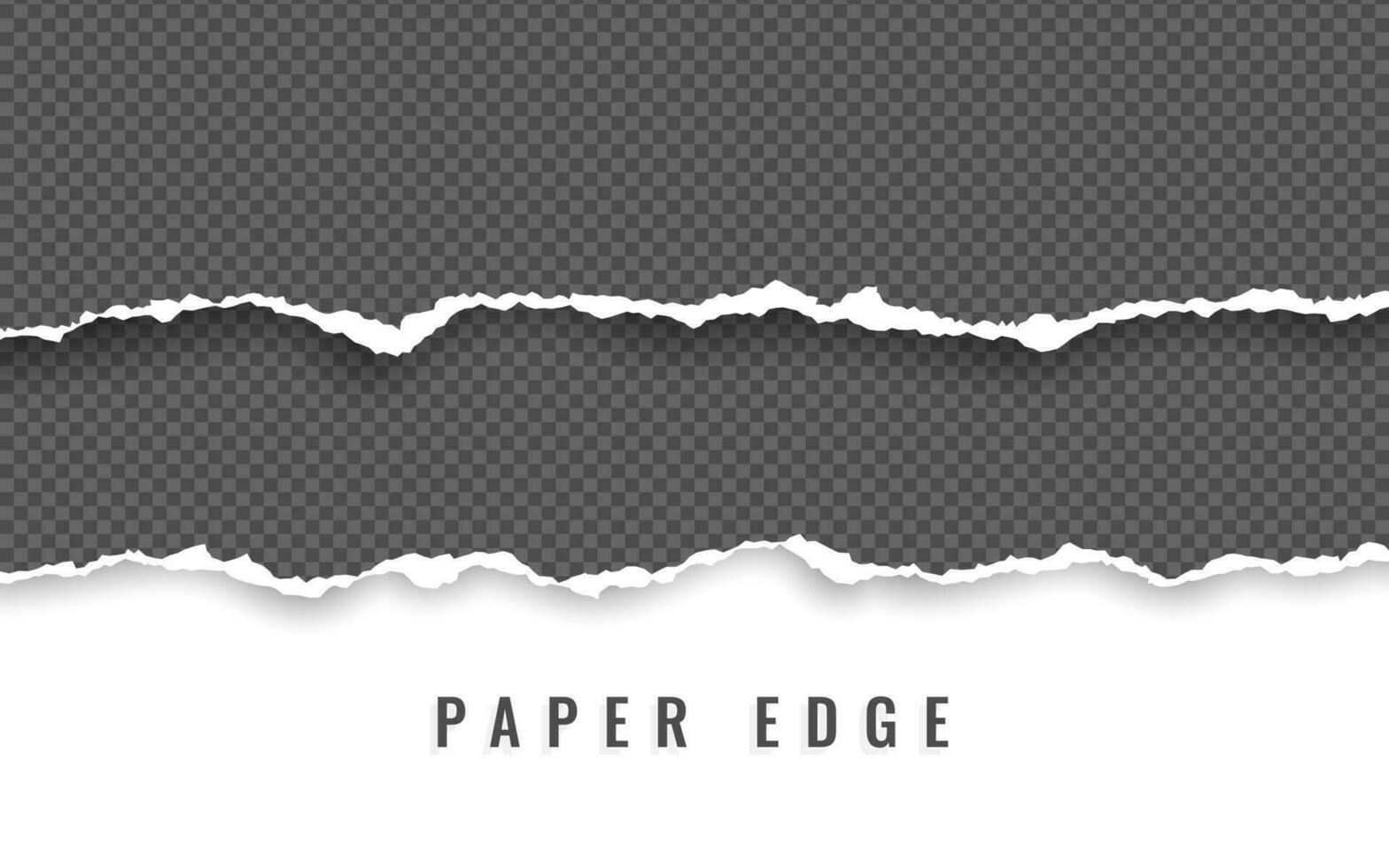 horisontell trasig papper kant. rev kvadrat horisontell vit papper remsor. vektor illustration