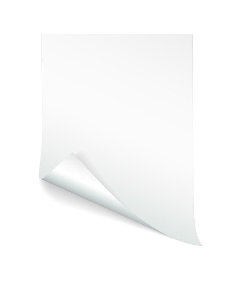 leer a4 Blatt von Weiß Papier mit zusammengerollt Ecke und Schatten, Vorlage zum Ihre Design. Satz. Vektor Illustration