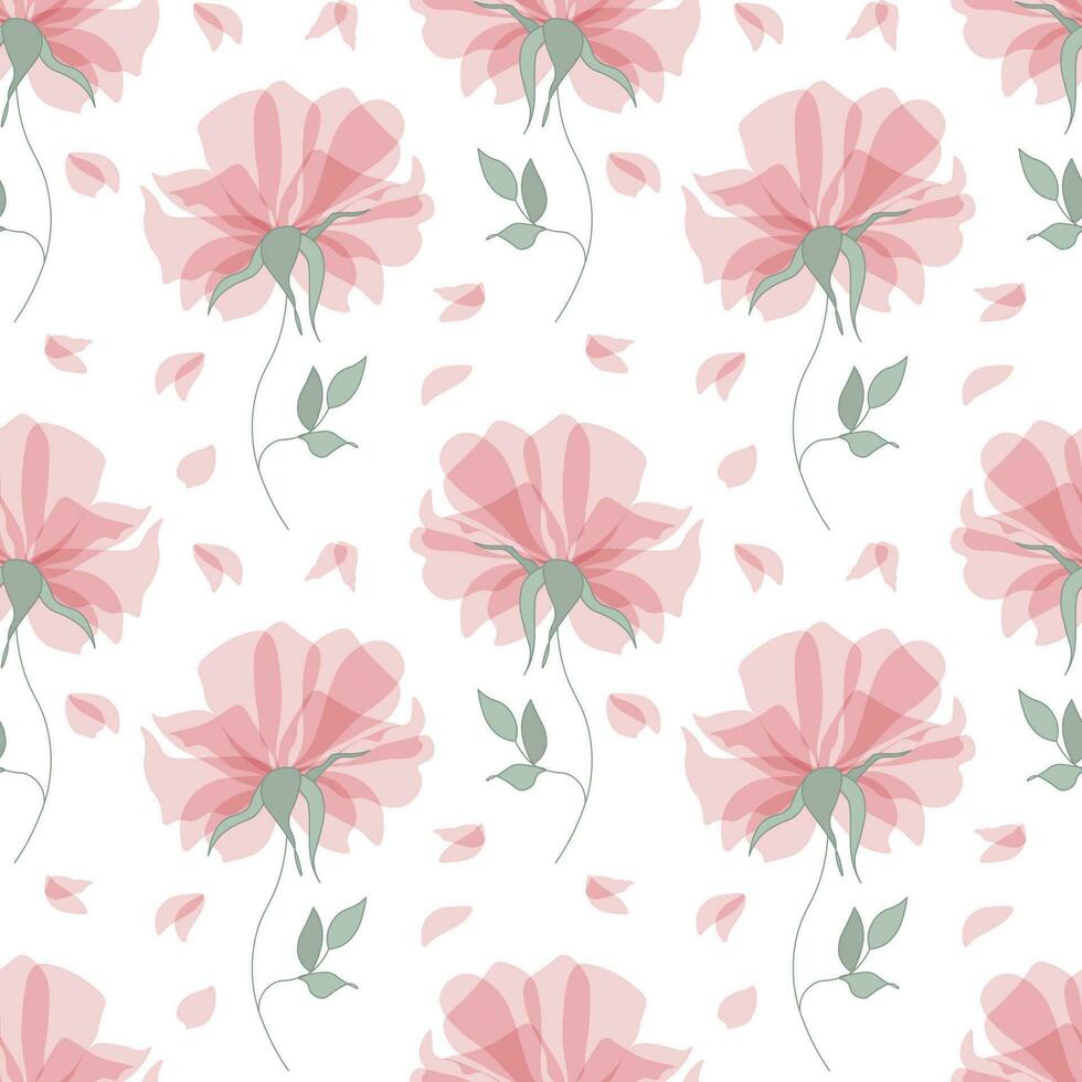nahtlos Muster, zart transparent Rosen auf ein Weiß Hintergrund. drucken, Hintergrund, Textil, Hintergrund, Vektor