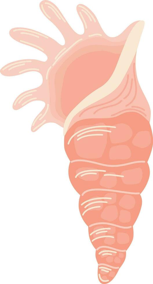 Muschel. Sommer- Urlaub, tropisch Strand Muscheln. Hand zeichnen Vektor Illustration isoliert auf Weiß Hintergrund.