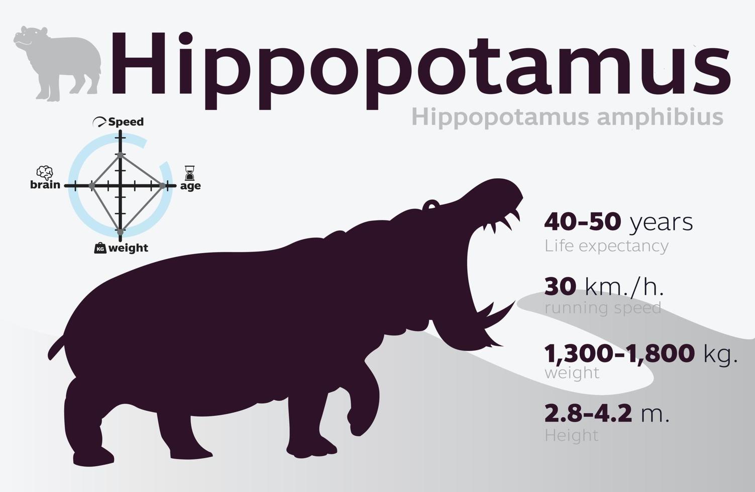 informationsillustration av flodhäst på en bakgrundsvektor 10 vektor