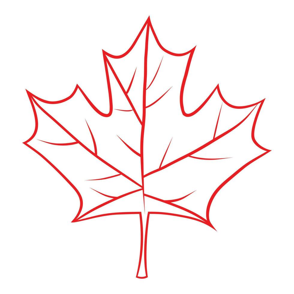 kanadensisk lönn blad, hand dra illustration vektor