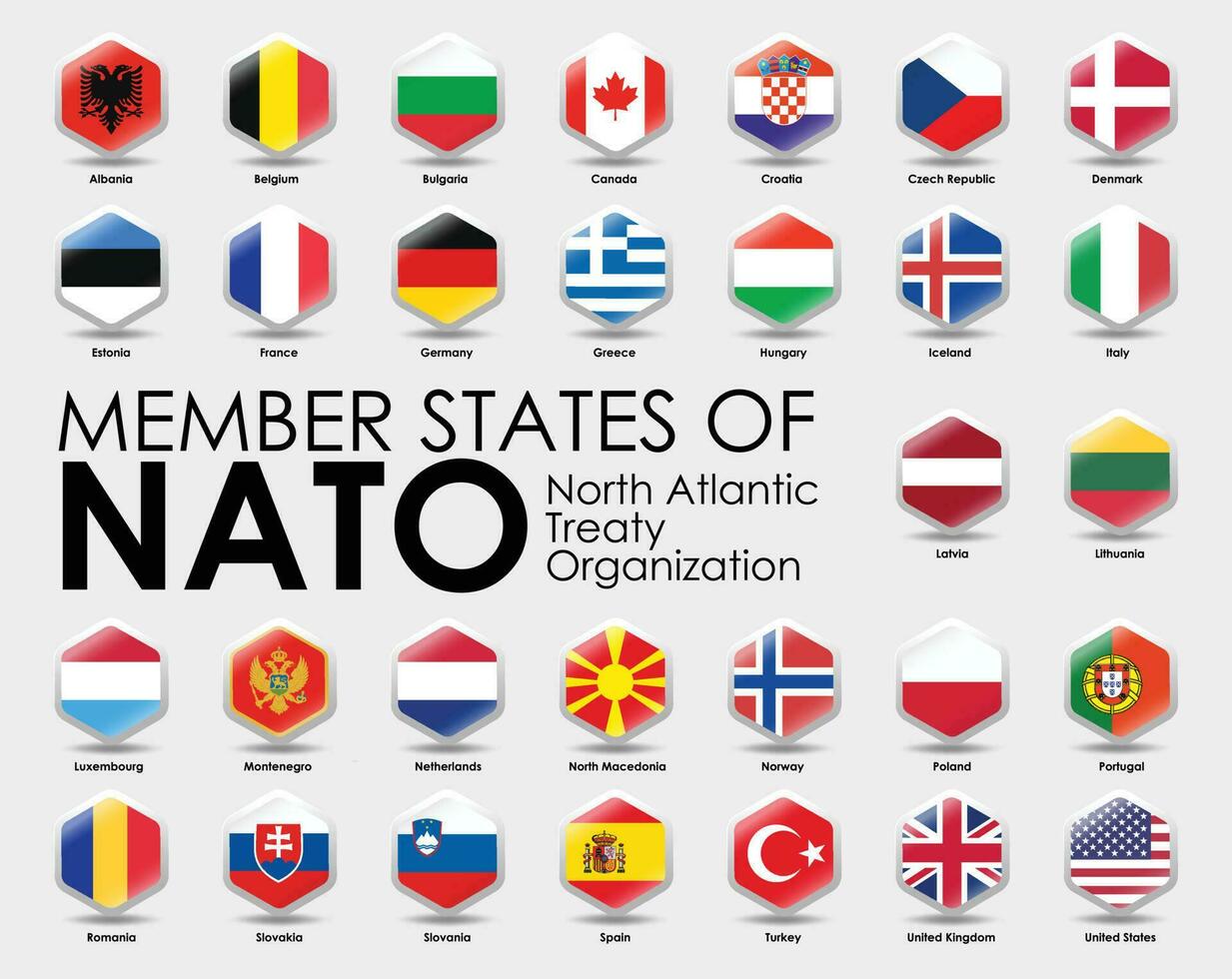 Vektor Illustration von Hexagon gestalten Flaggen von das 30 Mitglied Zustände von nato auf grau Hintergrund