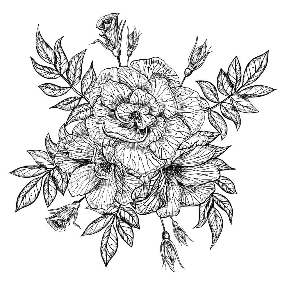 Strauß von Rose Blumen. Hand gezeichnet Vektor Illustration auf isoliert Hintergrund im Gliederung Stil. Blumen- Grafik Zeichnung zum Gruß Karten oder Hochzeit Einladungen. Gravur gemalt durch schwarz Tinten.