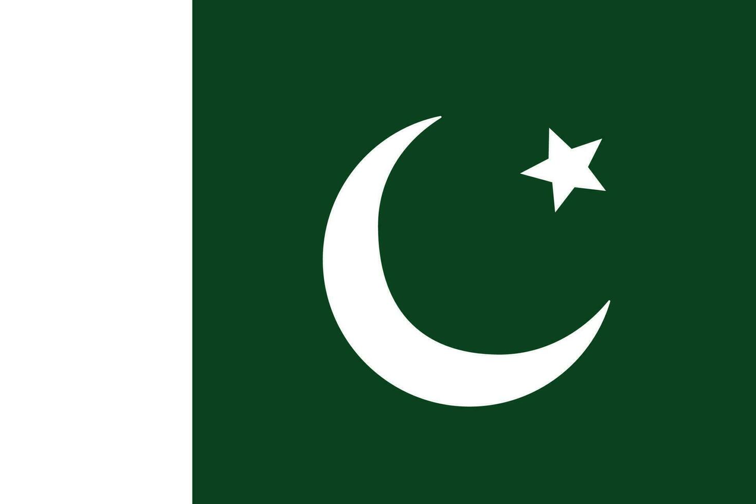 Flagge von Pakistan. Pakistan Flagge vektor