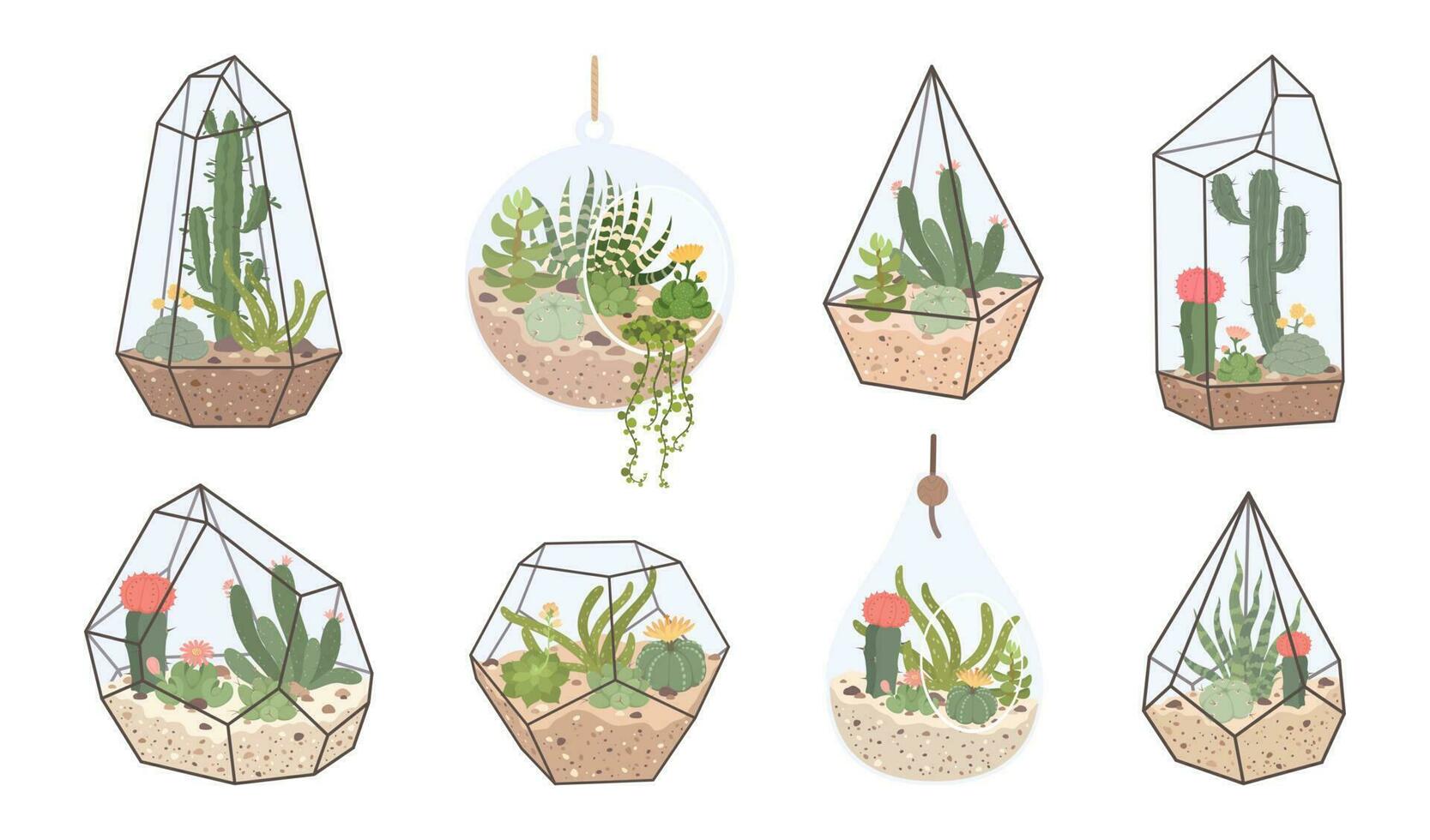 süß Glas Flora, geometrisch Terrarium mit Sukkulenten und Kaktus. Terrarien mit tropisch Wüste Pflanzen zum Zuhause Innere Dekor Vektor einstellen