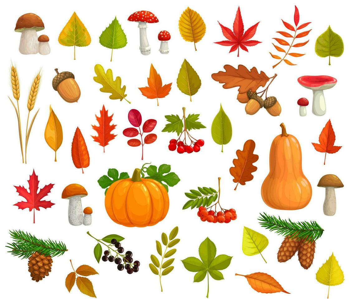 höst vektor ikoner tecknad serie löv, pumpa uppsättning
