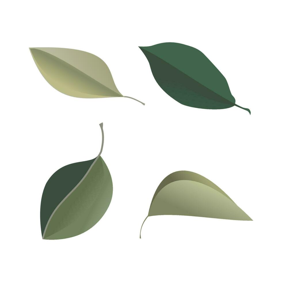vektor designer element set samling av grön skog ormbunke, tropisk grön eukalyptus grönska konst lövverk naturliga blad örter i akvarell stil. dekorativ skönhet elegant illustration för design