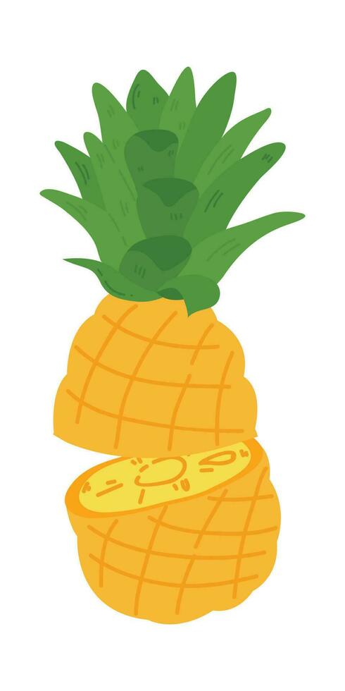 Hand gezeichnet Ananas Illustration isoliert auf Weiß Hintergrund. frisch Sommer- Obst Illustration. vektor