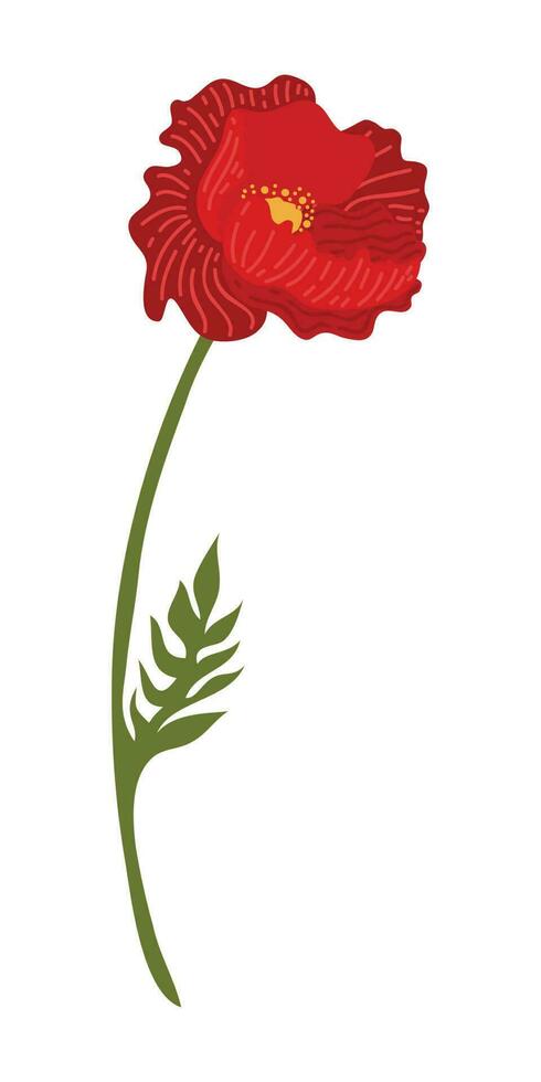 Mohn Blume Element Illustration. Vektor rot Mohnblumen isoliert auf ein Weiß Hintergrund.