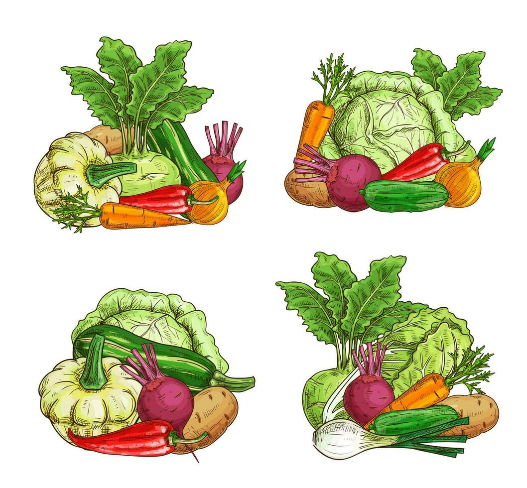 mogen grönsak, grönska mat skiss vektor baner