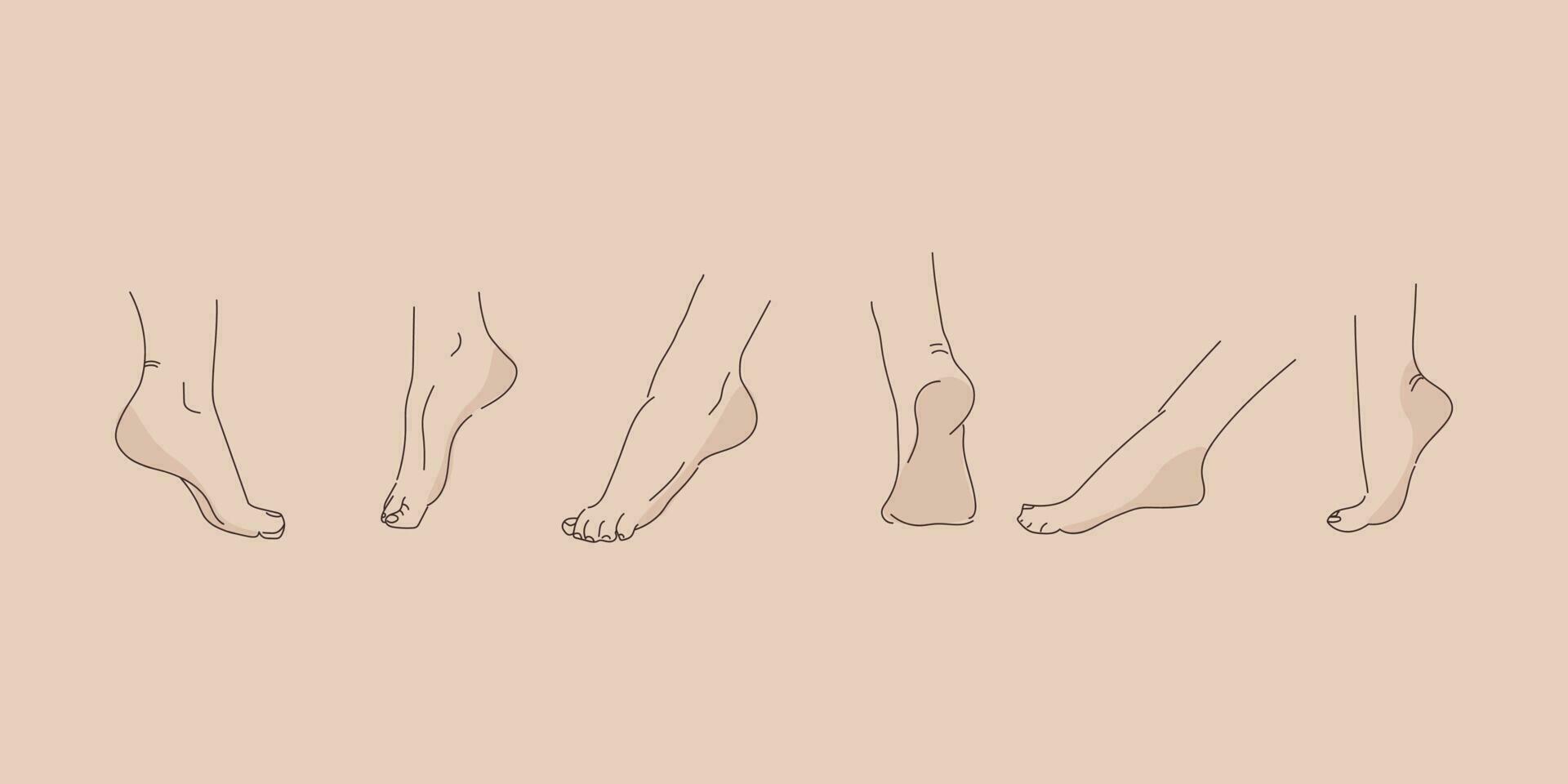 Vektor Mensch Fuß im verschiedene Posen. Hand Zeichnung mit ein Linie. einstellen von weiblich Füße zum Design.