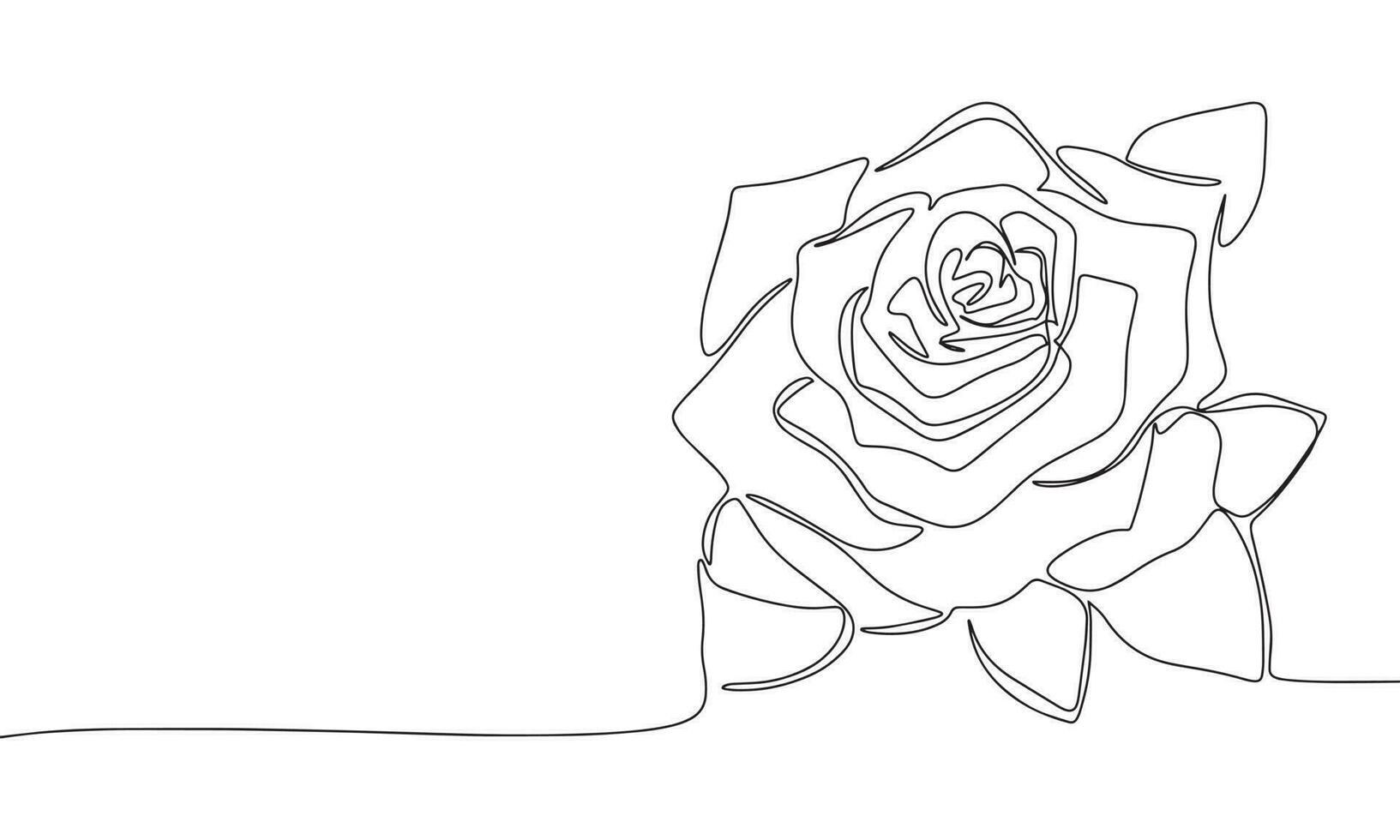 Rose Blume wie einer Linie Zeichnung Banner. kontinuierlich Hand gezeichnet minimalistisch Minimalismus Design isoliert auf Weiß Hintergrund Vektor Illustration.