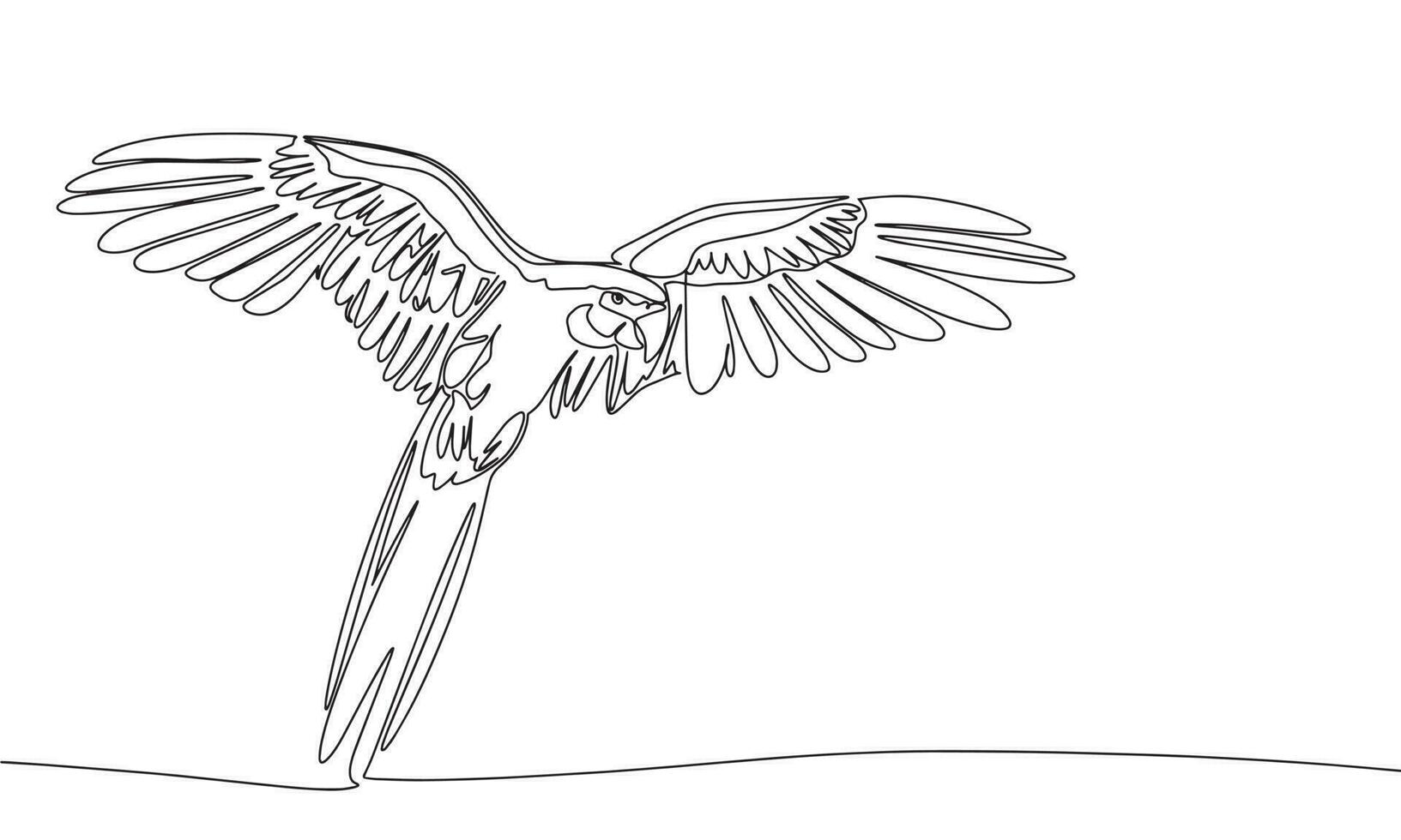 hand dragen papegoja isolerat på vit bakgrund. linje konst fågel. ett linje kontinuerlig papegoja. översikt vektor illustration.