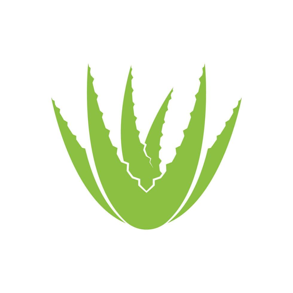 aloe vera logotyp ikon design symbol skönhet vektor