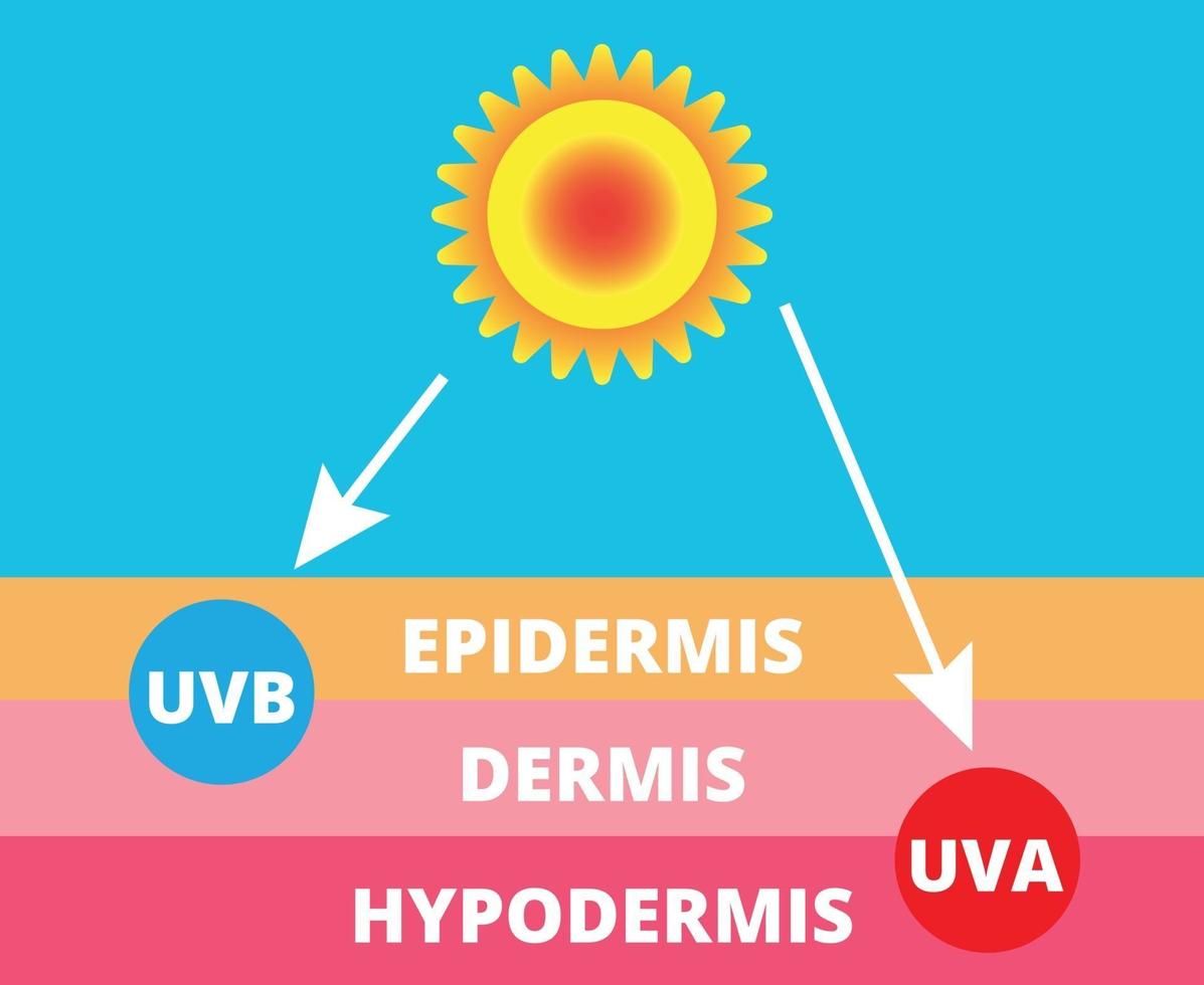 Haut vergleichen und schützen sowohl UVA als auch UVB vektor