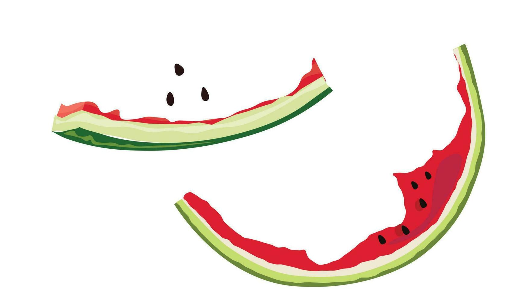 Wassermelone Vektor Illustration. Hälfte gegessen Wassermelone Scheiben. Wassermelone Rinde. Sommer- Obst Thema und Konzept. eben Vektor im Karikatur Stil.
