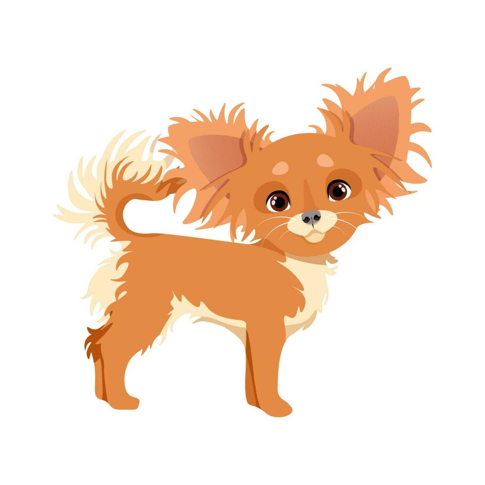 süß flauschige braun Chihuahua Hund vektor