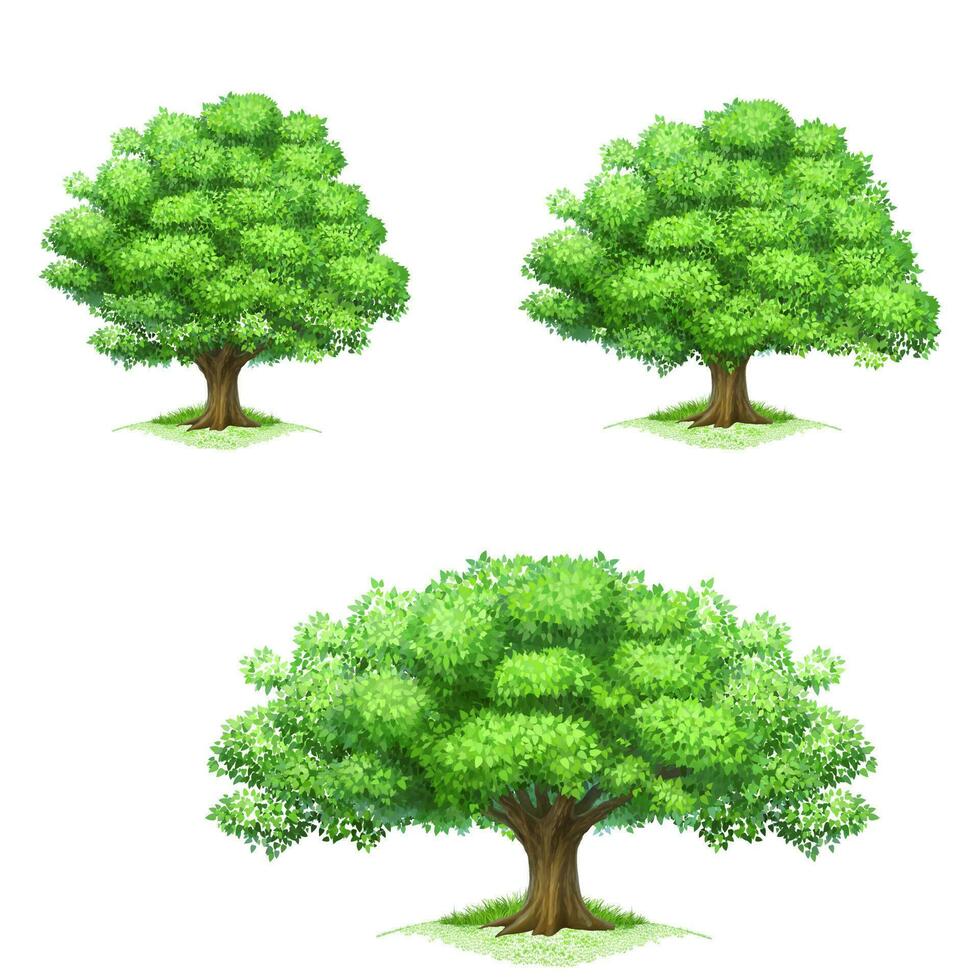 grön träd logotyp design, vektor illustration