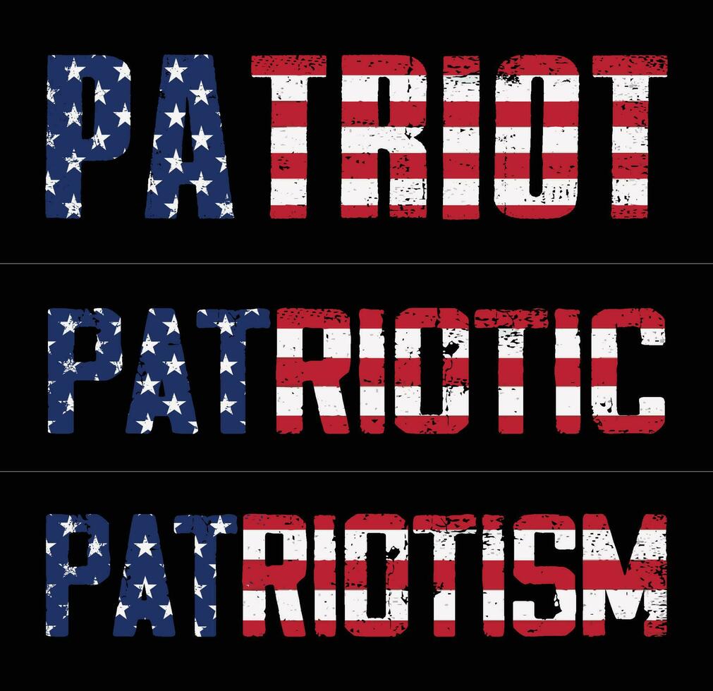 patriot, patriotisk, patriotism flagga design vektor