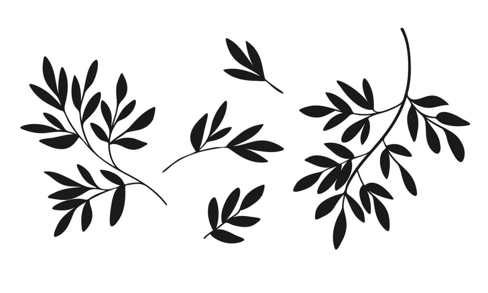 vektor silhuett av grenar med löv isolerat på en vit bakgrund. blommig svart element för dekoration