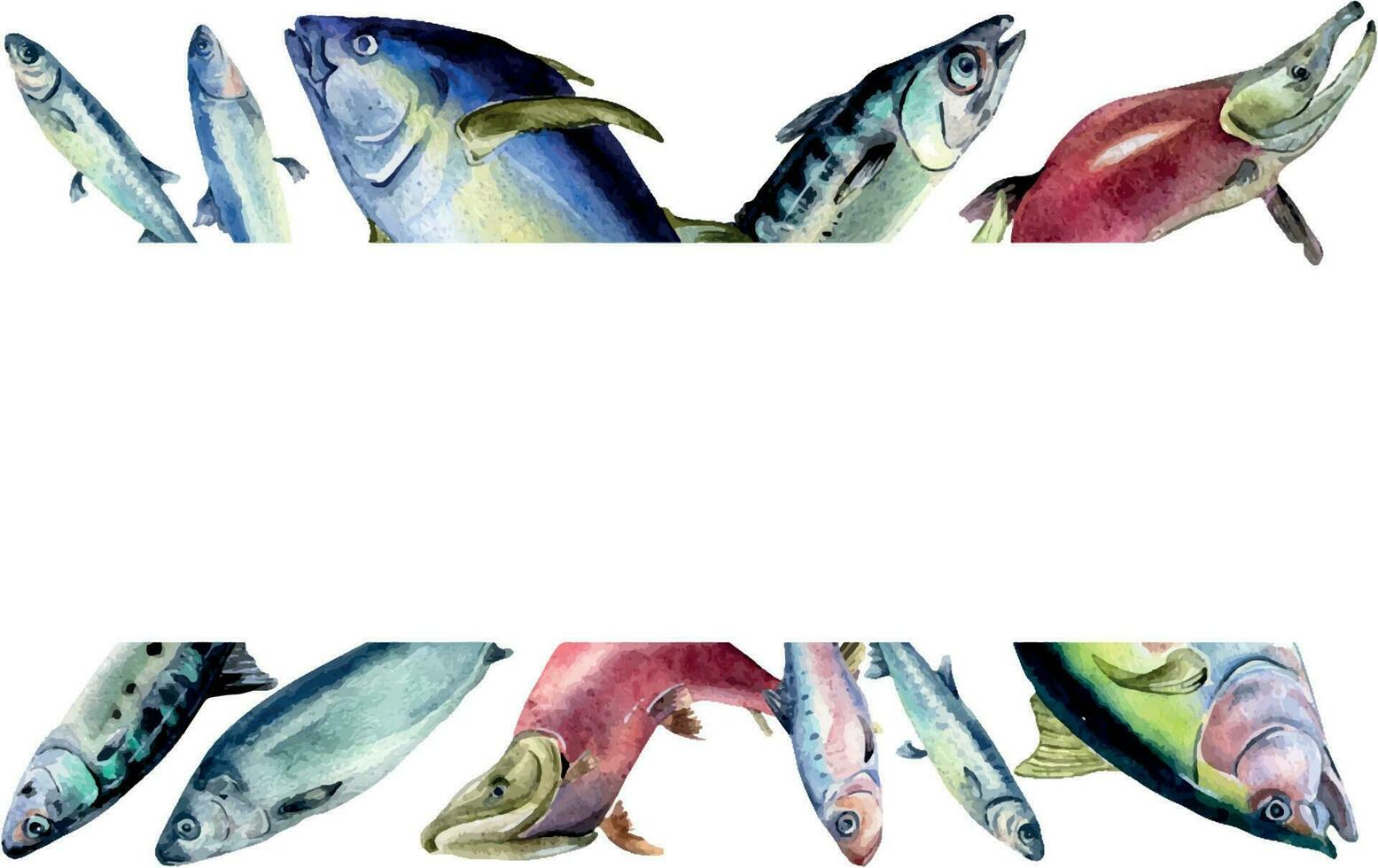 Rahmen von verschiedene frisch Meer Fisch Aquarell Illustration isoliert auf Weiß. wild Fisch, Thunfisch, Lachs, Hering, Anschovis Hand gezeichnet. Design Element zum Kochbuch, Schild, Speisekarte, Markt, Verpackung vektor