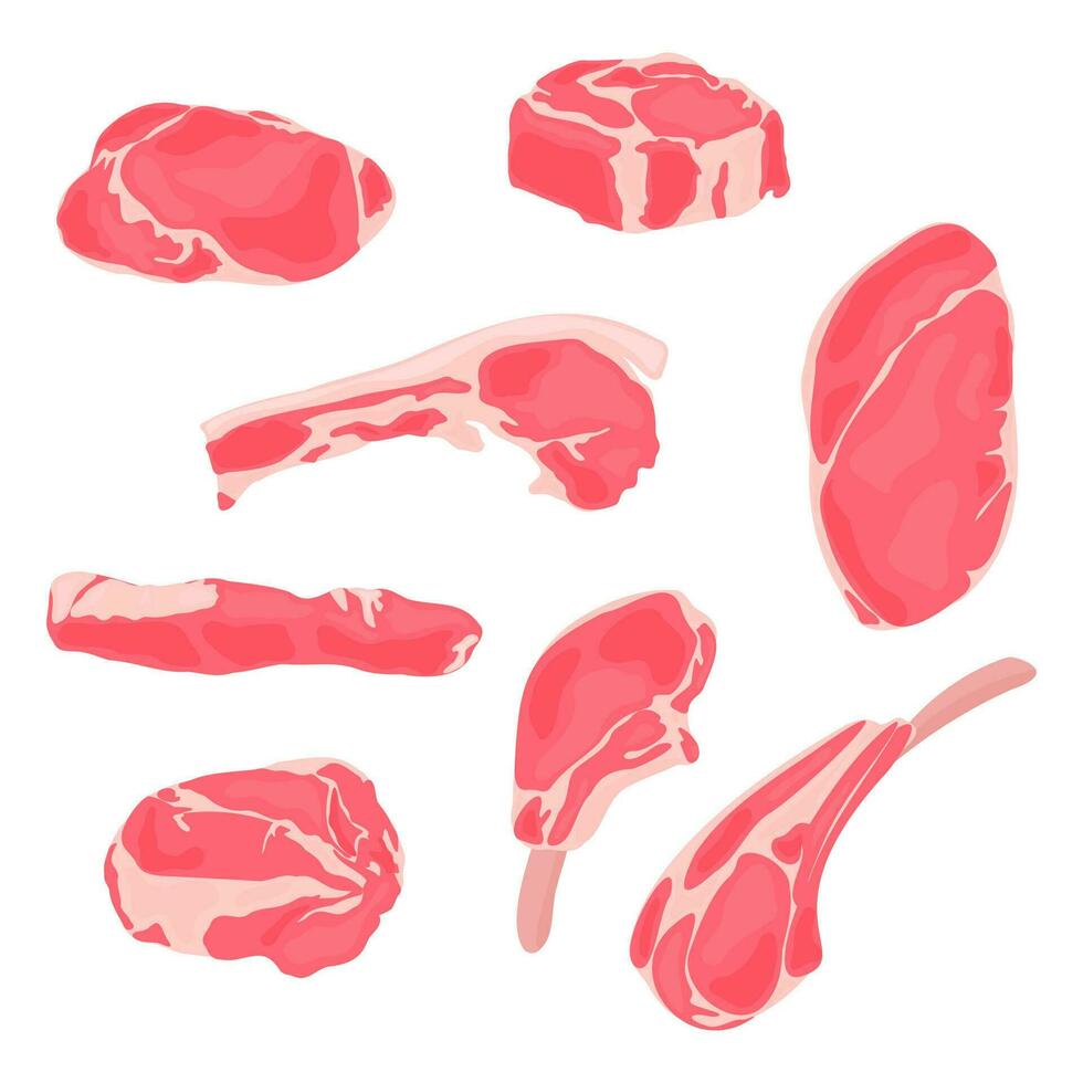 diese Sammlung von Vektor Abbildungen Vitrinen anders Typen von Fleisch, von gehackt Lamm zu Prime Rippe, bereit zu Sein benutzt im Ihre Grill-Thema Entwürfe.