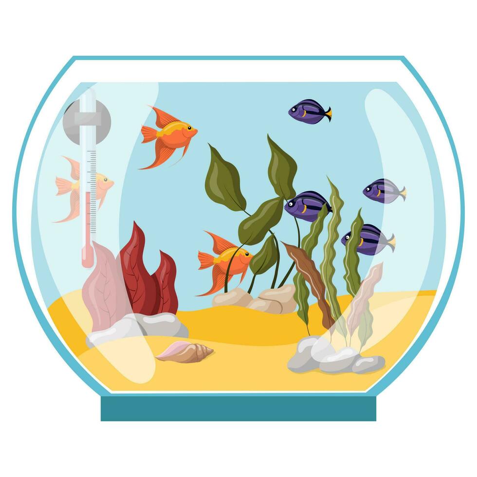 runda akvarium med fisk och alger. vektor illustration isolerat på en vit bakgrund.