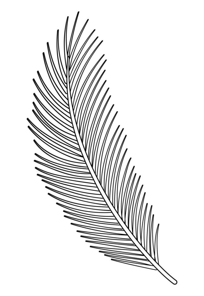 Palme Ast Blatt Linie Gekritzel Vektor Illustration