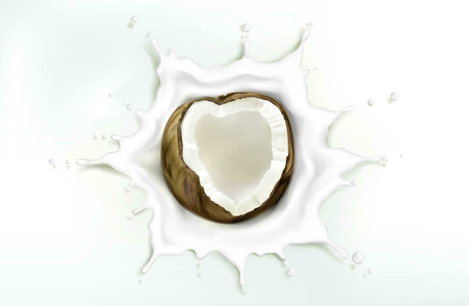 Kokosnuss im Milch Spritzen isoliert auf Weiß Hintergrund vektor