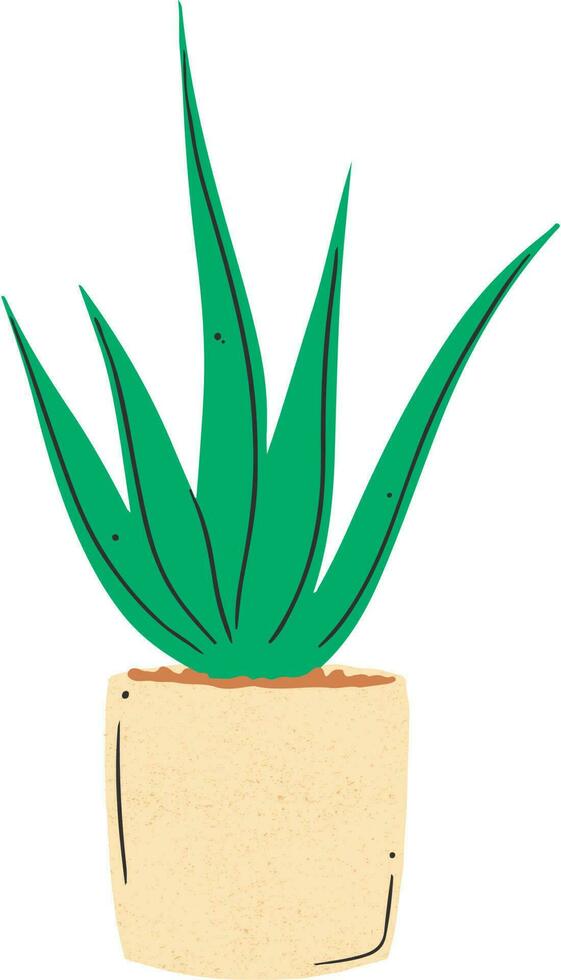 Aloe vera Pflanze isoliert auf Weiß , Aloe vera Pflanze im ein Topf vektor