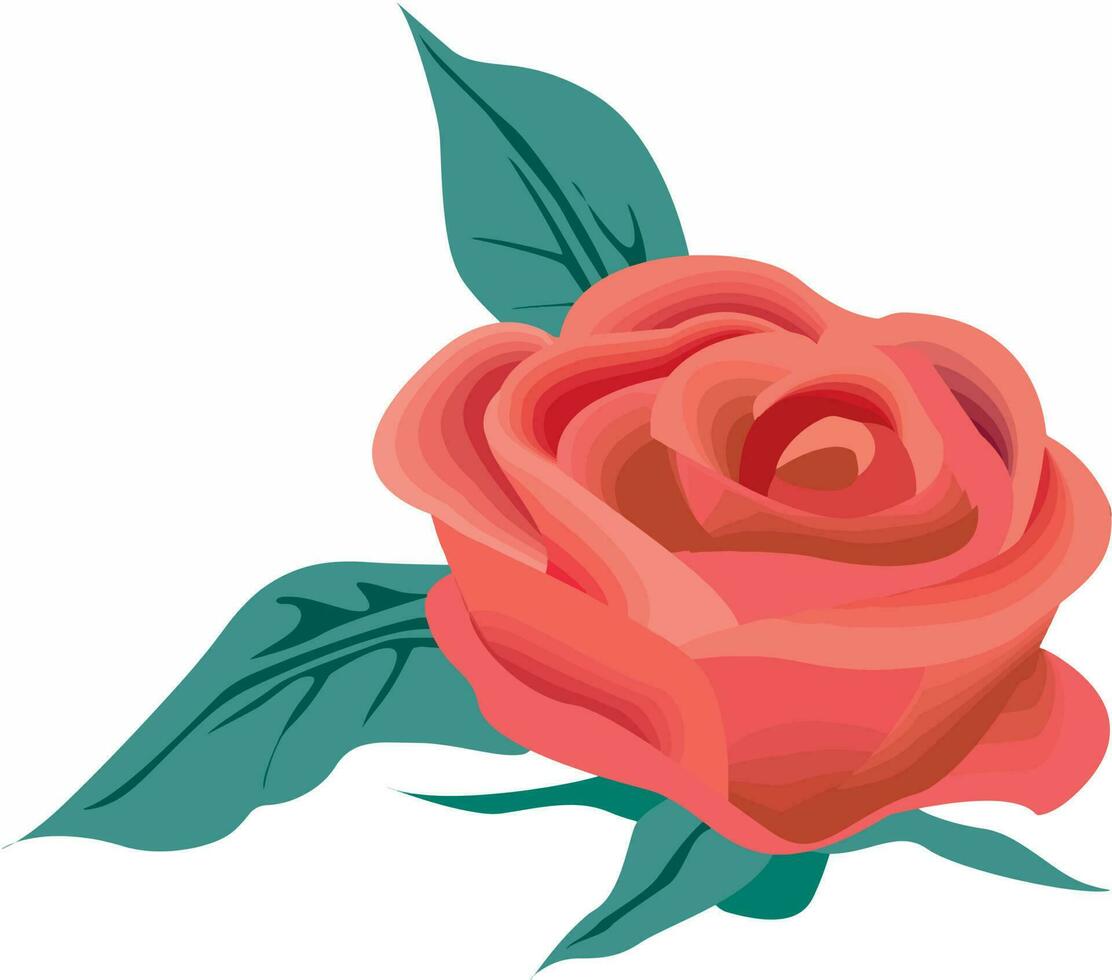 rot Rose mit Blätter, rot Rose Vektoren und Abbildungen