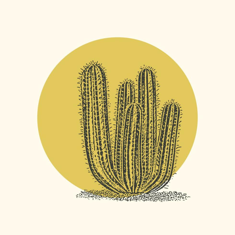 kaktus illustration vild väst öken- årgång design. kaktusar växt med Sol logotyp vektor linje konst minimalistisk symbol illustration design, årgång märka design