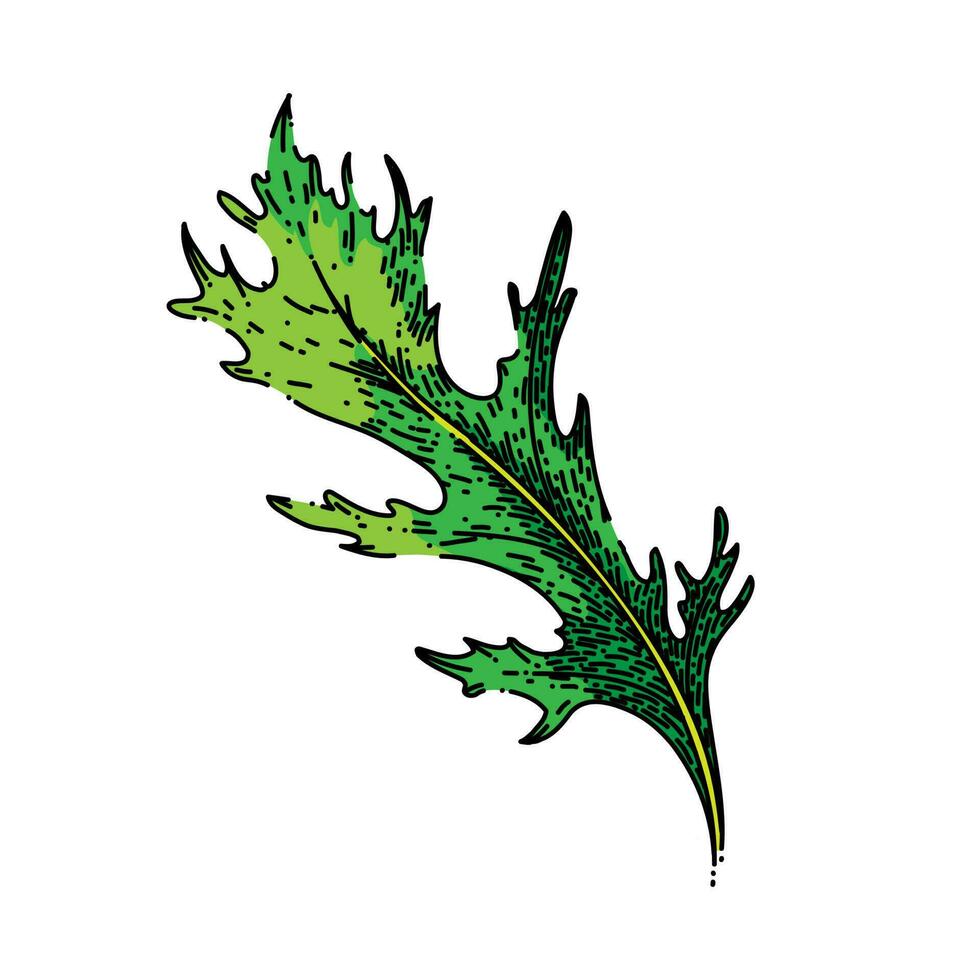 argula grön sallad skiss hand dragen vektor