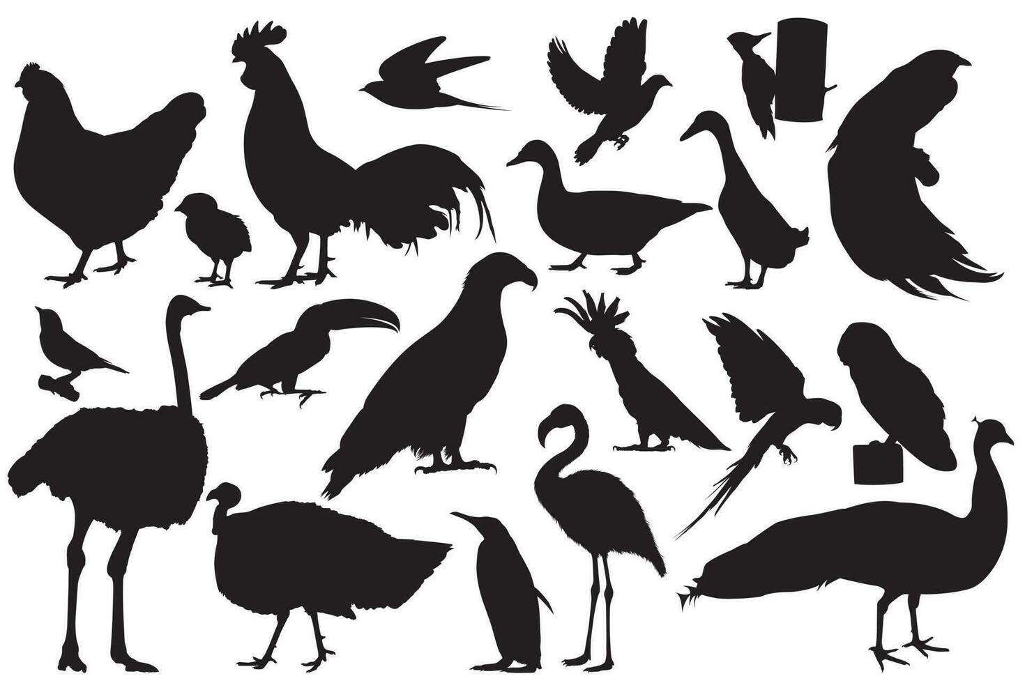 en djur- samling av silhuetter av fåglar och fåglar vektor