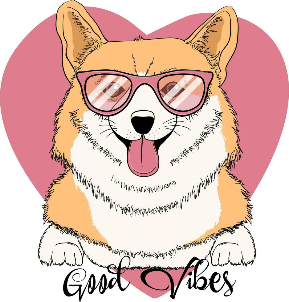 Porträt von ein süß Hunde im Sonnenbrille. komisch Corgi im ein anders Posen. Humor Textil- Komposition, Hand gezeichnet Stil drucken. vektor