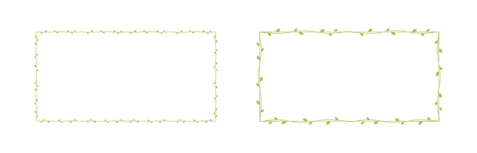 rektangel grön vin ramar och gränser uppsättning, blommig botanisk design element vektor illustration