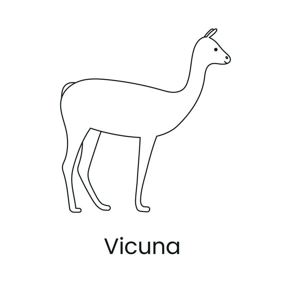 vicuna ikon linje i vektor, illustration av ett djur. vektor