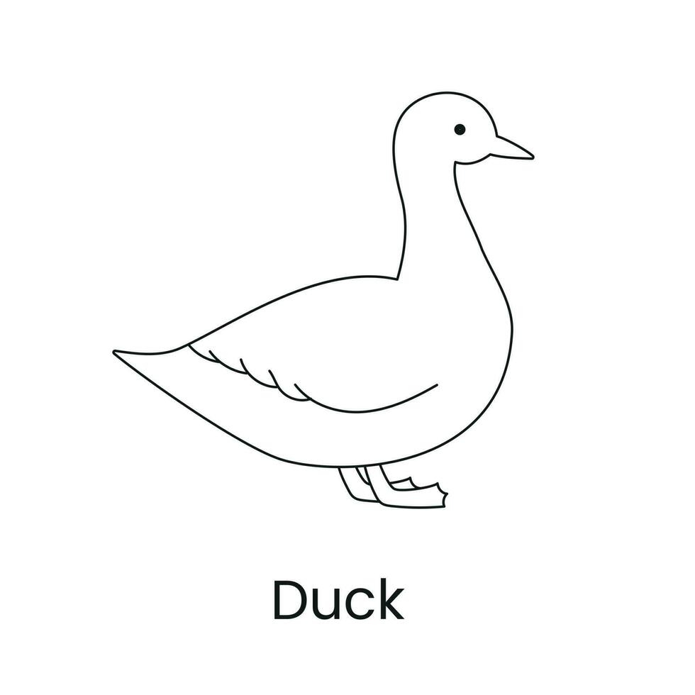 Anka linje ikon i vektor, illustration av en fågel. vektor