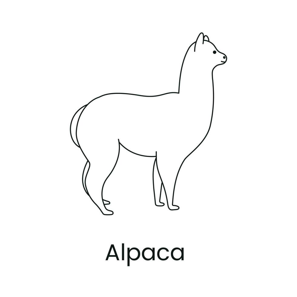 alpacka ikon linje i vektor, illustration av ett djur. vektor