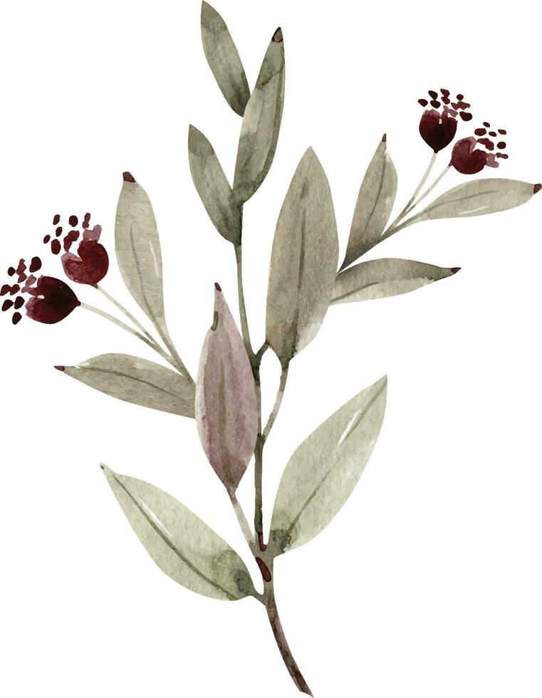 växt gren med rosa blomma knoppar, vattenfärg illustration för vykort och design. vektor
