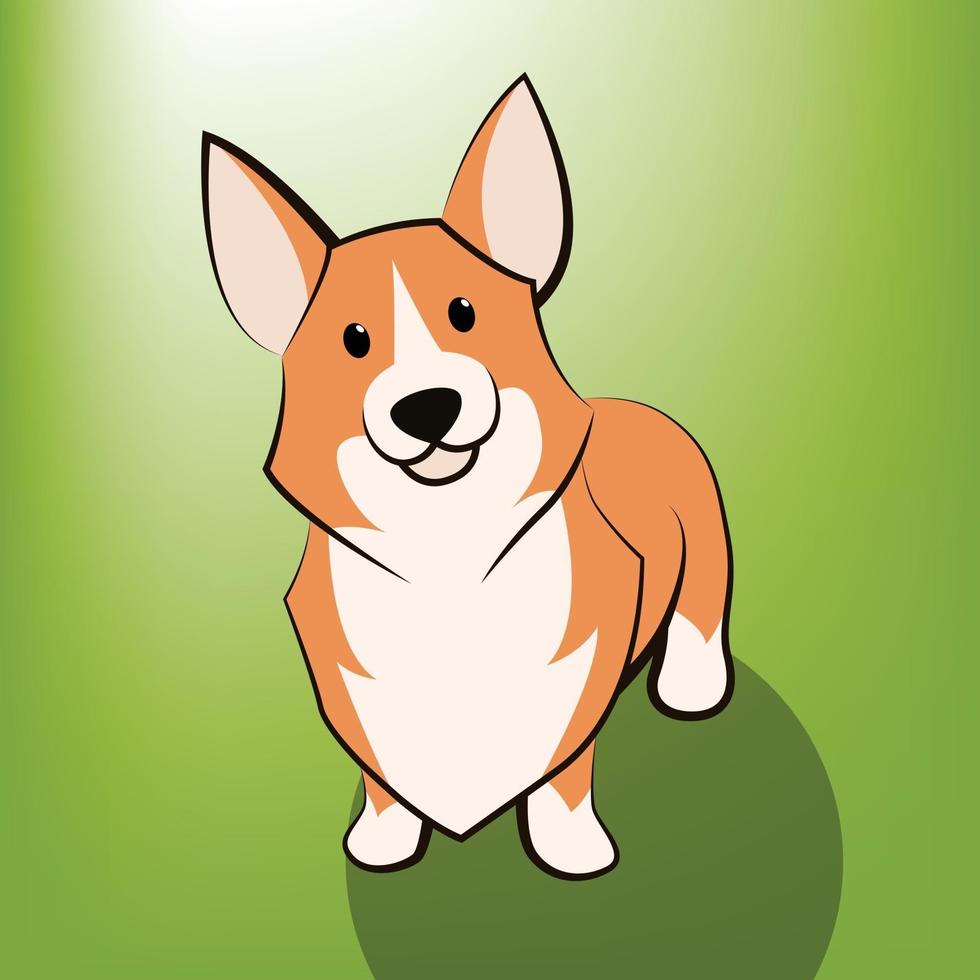 niedliche Karikaturvektorillustration eines Corgi-Hundes, den es steht vektor