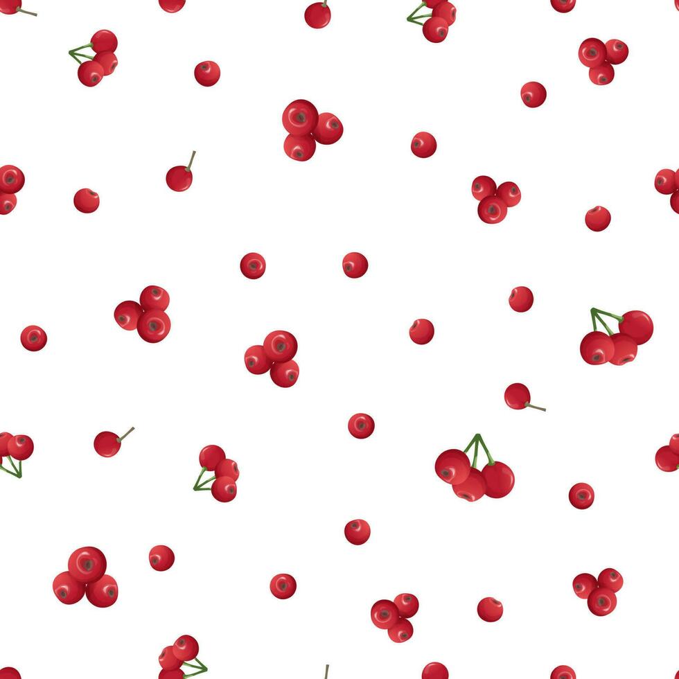 Weihnachten nahtlos Muster mit Stechpalme Beeren auf ein Weiß Hintergrund. Weihnachten Stimmung. geeignet zum Verpackung Papier, Hintergrund, Textil- vektor