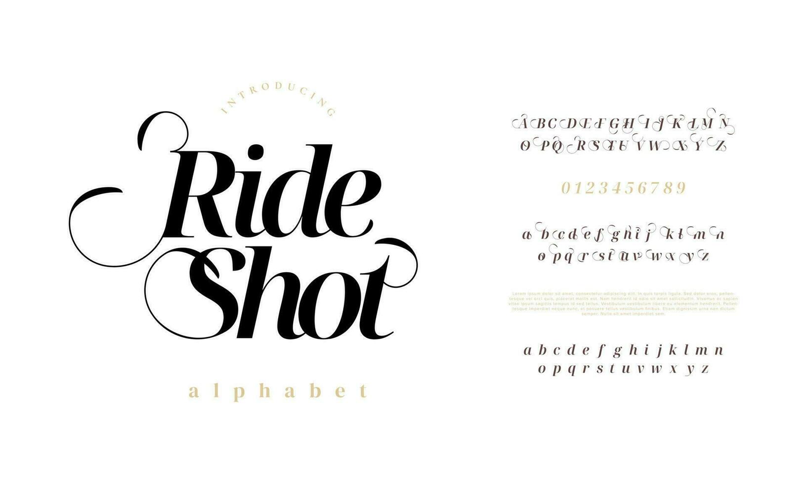 rideshot elegant alfabet brev font och siffra. klassisk text minimal mode mönster. typografi modern serif typsnitt dekorativ årgång design begrepp. vektor illustration