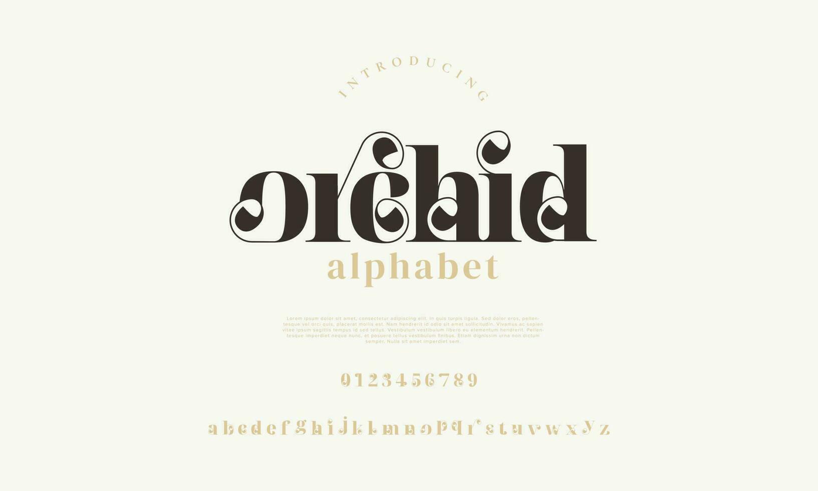 elegant orkide alfabet brev font och siffra. klassisk text minimal mode mönster. typografi modern serif typsnitt dekorativ årgång design begrepp. vektor illustration